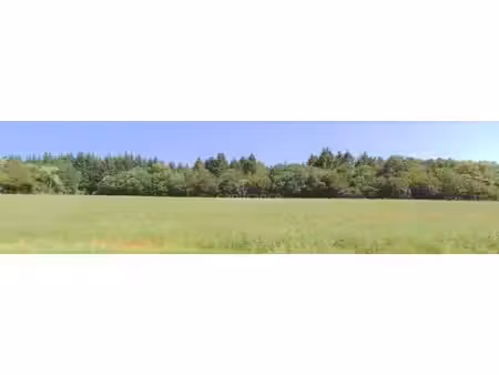 propriété forestiere giry (58)
