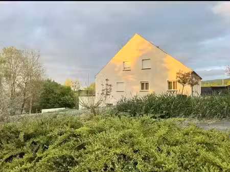 vente maison 8 pièces 250 m² à pavant (02310)  450 000 €