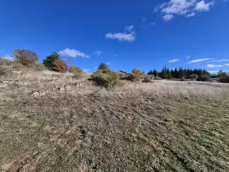terrain