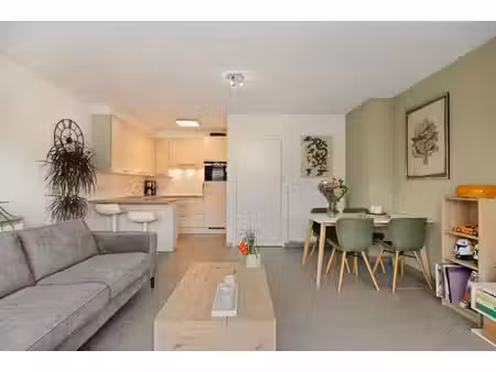 lichtrijk duplex appartement te koop in duffel