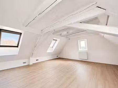 maison/immeuble de charme rénovée 190 m2 avec cour-terrasses rosheimcv