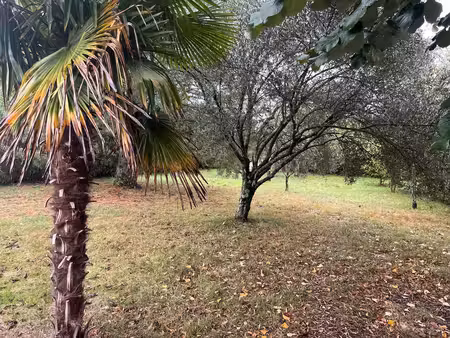 balma - terrain à bâtir