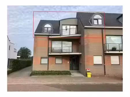 penthouse à louer à bolk 104 vosselaar (rbw90521)