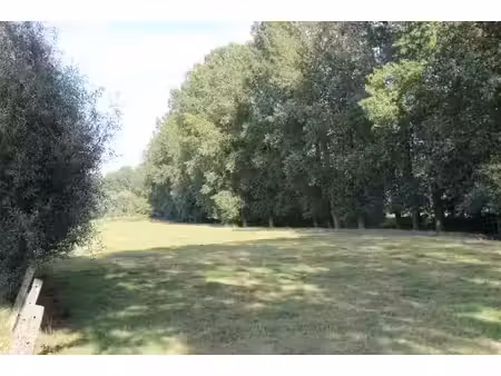 1 3 ha landbouwgrond te koop