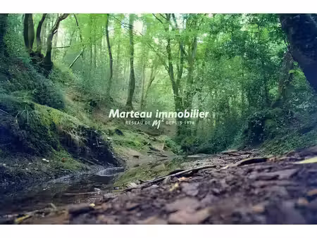 terrain de loisirs flee