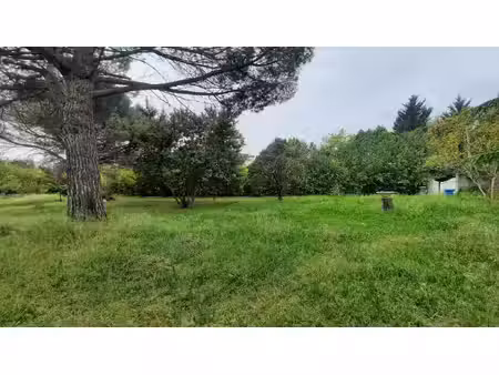 location maison 6 pièces 202 m² à toulouse (31200)