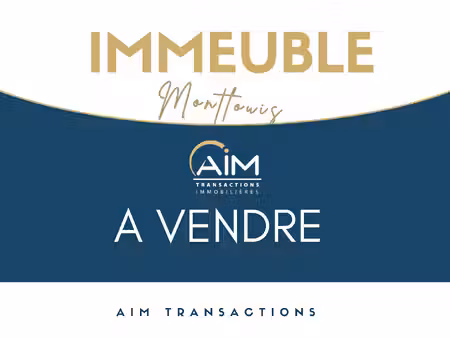 immeuble de rapport centre montlouis