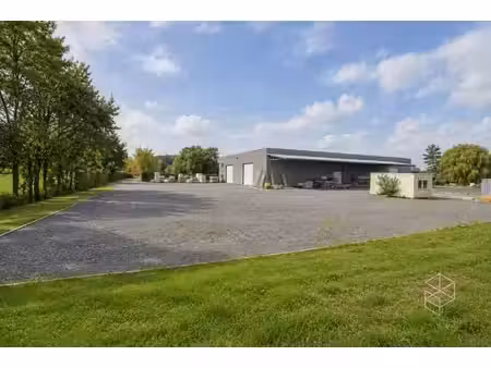 grote loods met burelen  3 garages  ruime buitenruimte en...