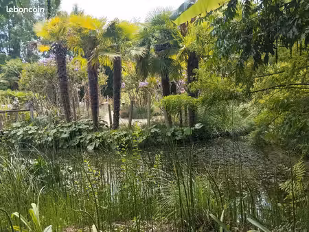 recherche terrain location/achat