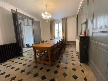 maison de maitre à vendre 9 pièces chateau renault (37)