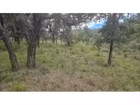 terrain naturel 4 7 ha à bormes-les-mimosas