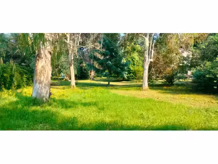 a vendre terrain de 2200 m2  plat  arboré et clôturé à san nicolao (haute corse)