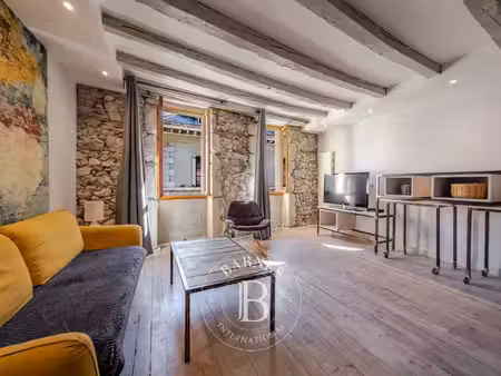 annecy vieille ville - appartement de charme