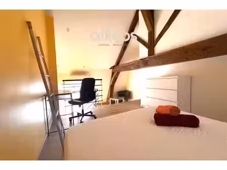 appartement duplex hyper centre 35m2