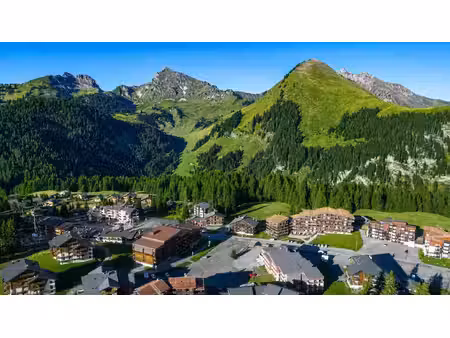 aux pieds des pistes  toutes activités