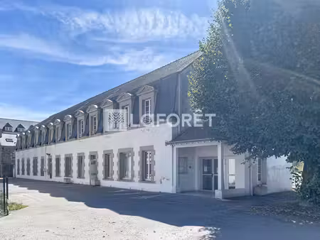 a saisir! immeuble josselin 25 pièce(s) 550 m2