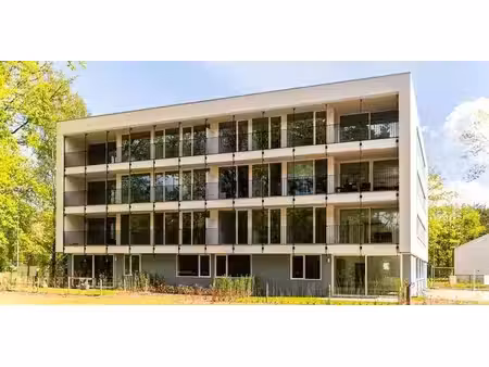 appartement à louer à mol pour € 1.050 avec 3 chambres à coucher