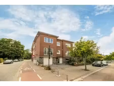ruime woning geschikt voor vrij beroep