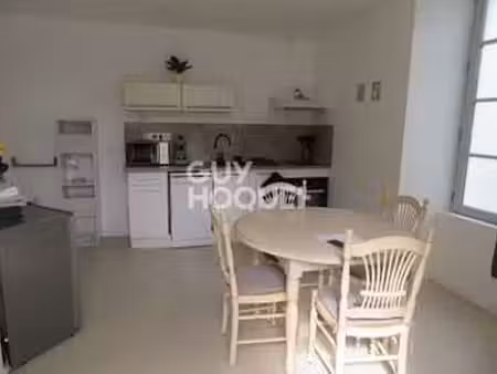 location appartement t1 meublé à château-gontier-sur-mayenne (53200) : à louer t1 meublé /