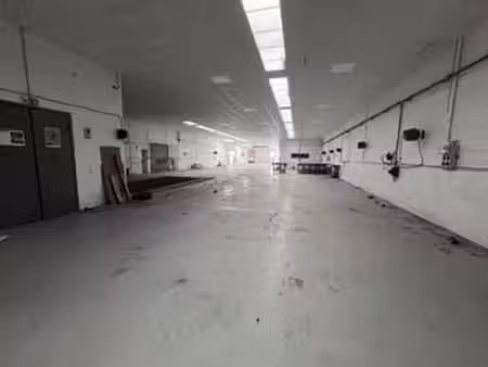 location bureaux et commerces à angers saint-serge (49000) : à louer / 1175m² angers saint