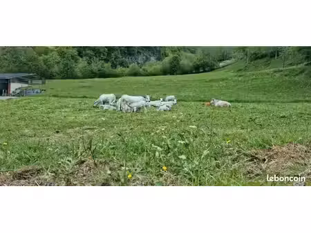 location terre agricole