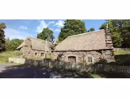 rare  2 chaumières dans hameau touristique de haute loire