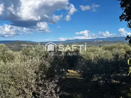 à oraison  laissez-vous séduire par cette oliveraie et sa magnifique vue sur la vallée de 