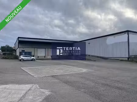 location entrepôt villeneuve les maguelone 34750 2250m²