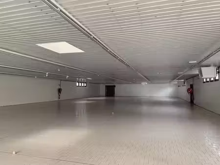 vente commerce lapalisse 03120 1000m²