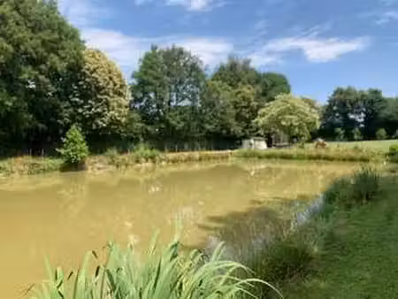 vente terrain à retiers (35240) : à vendre / 6800m² retiers