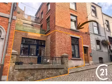 a deux pas du centre-ville: bel appartement 1chambre avec te