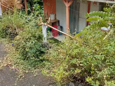 location maison d’habitation