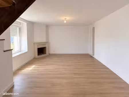 superbe duplex 3 chambres  100 m² carrez  entièrement refait à neuf