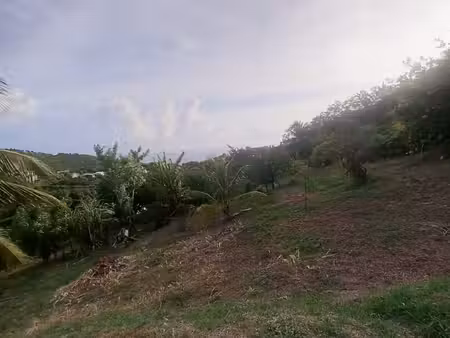 vente terrain  1491.00m²  le morne