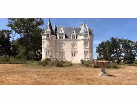 château loches (37)