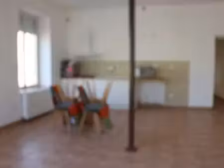 location appartement 3 pièces à saint-ouen-en-belin (72220) : à louer 3 pièces / 74m² sain