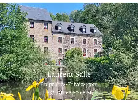 moulin: gîtes / chambres d'hôtes (621 m2)
