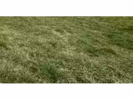 vente terrain à batir 1129 m² à bichancourt (02300)  24 000 €