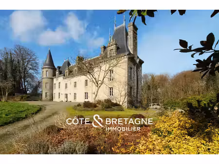 achat maison 21 pièces 561m² merdrignac 22230