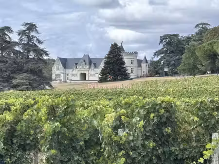 chateau d'exception et vignoble aoc saumur