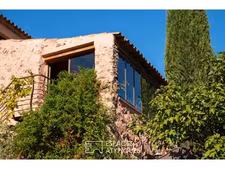 maison en pierre rénovée avec bassin et appartement indépendant