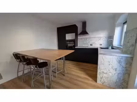 duplex avec jardin – cuisine et salle d’eau neuves – 55 m² au sol – mulhouse