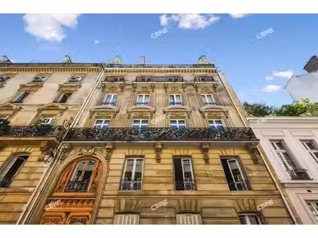 achat local professionnel 222m²