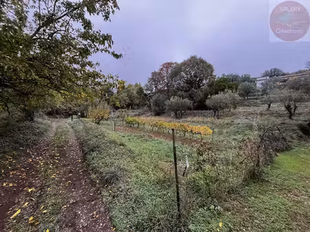 terrain