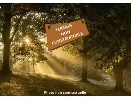 vente terrain 1050 m² saint-savin (33920)