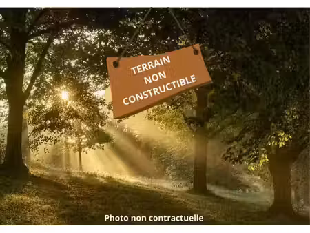 st savin terrain non constructible