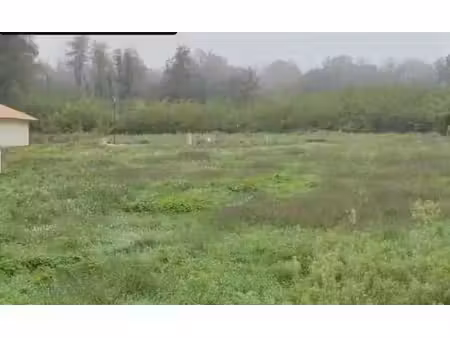 vente terrain 700 m² landiras (33720)