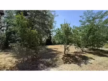 vente terrain 1000 m² langoiran (33550)