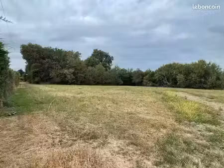 vente terrain 1000 m² sainte-croix-du-mont (33410)