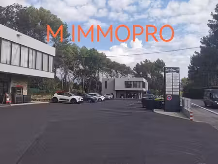 location bureaux mougins 06250 85m²